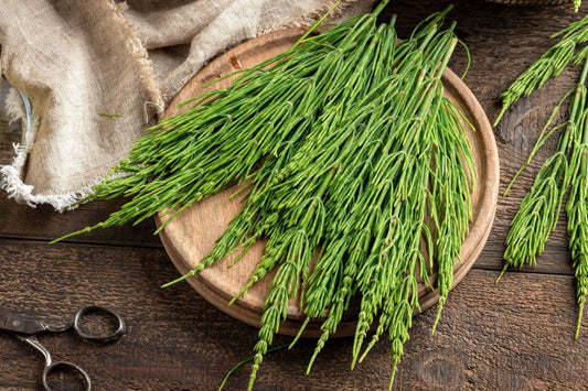 Equiseto: Il Segreto Naturale per Capelli Ricci Forti e Splendenti