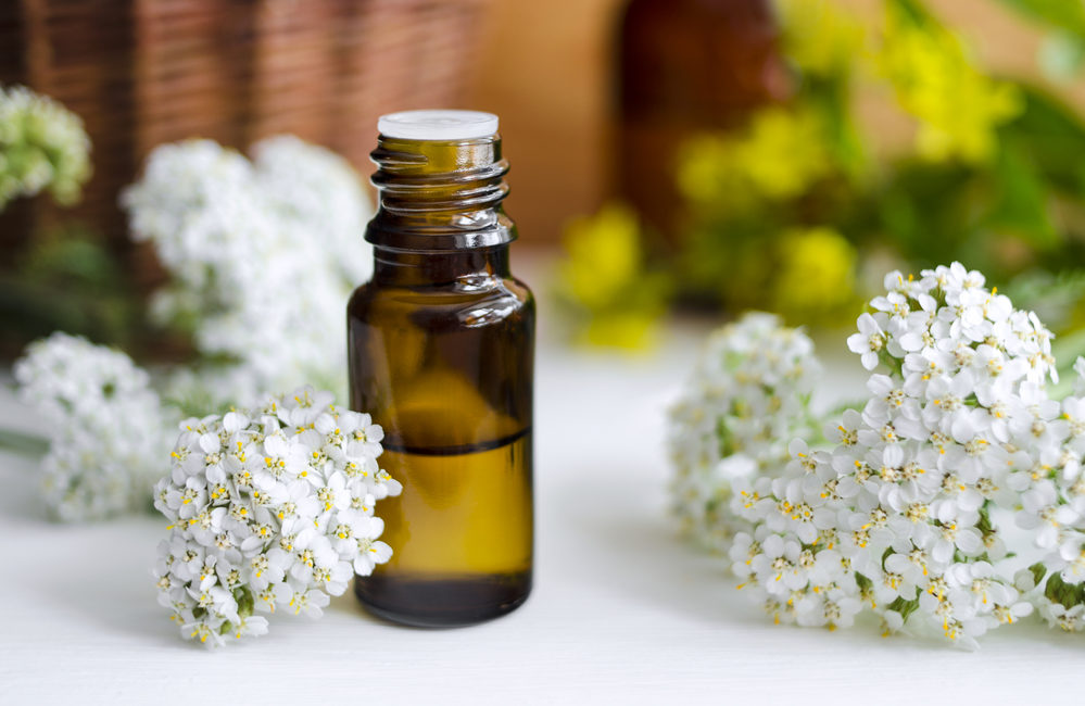 Achillea: Il Rimedio Naturale Anticaduta per Capelli Ricci Forti e Rigenerati