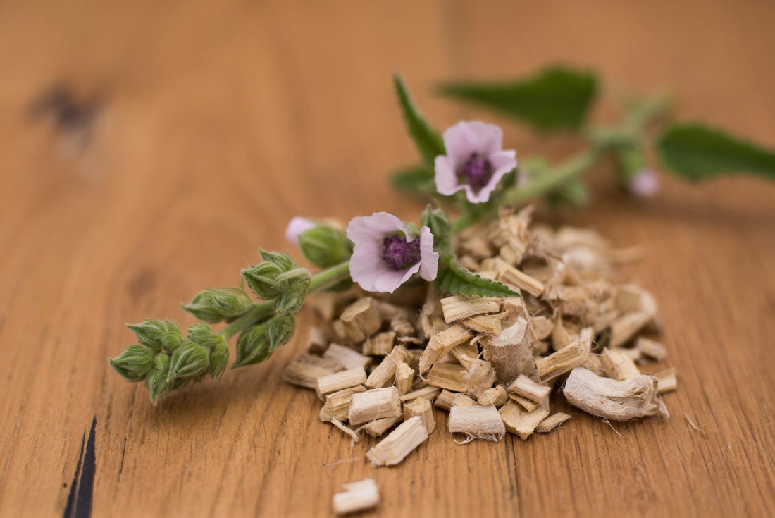 Altea: Il Rimedio Naturale per Capelli Ricci Morbidi e Ben Definiti