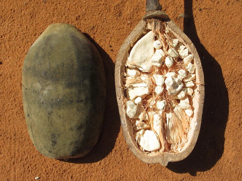 Baobab: Il Superfood Naturale per Capelli Ricci Sani e Forti