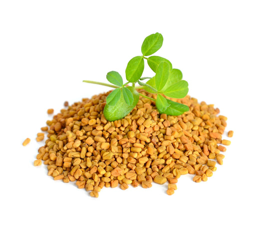 IL "METHI" CONOSCIUTO ANCHE COME "FIENO GRECO" PER CAPELLI RICCI